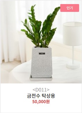 개업화분 탁상용